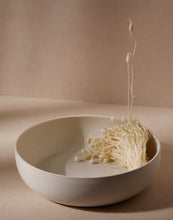 Load image into Gallery viewer, Stoneware Shallow Serving Bowl - Matte White