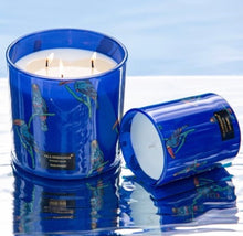 Load image into Gallery viewer, Jungletopia Tucano Rainforest Candle
