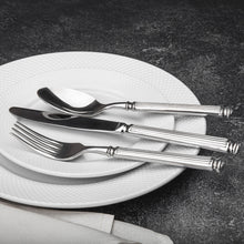 Load image into Gallery viewer, Ricci Colonnade 20 Piece Flatware Set
