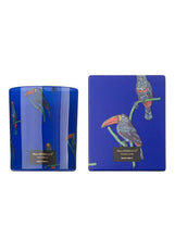 Load image into Gallery viewer, Jungletopia Tucano Rainforest Candle
