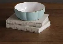 Load image into Gallery viewer, Encanto Devon Mini Bowl
