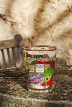 Load image into Gallery viewer, Baobab Provence Candle Max 16
