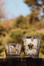Load image into Gallery viewer, Baobab Candle Tomorrowland
