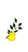 Load image into Gallery viewer, Lemon Leaves - Printed Guest Towel
